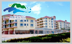 萬光觀?；▓@——煙臺黃金海岸C位 坐擁無界海景視野